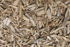 biomass boilers Cardurnock